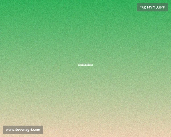 体育赛事解说词完整版